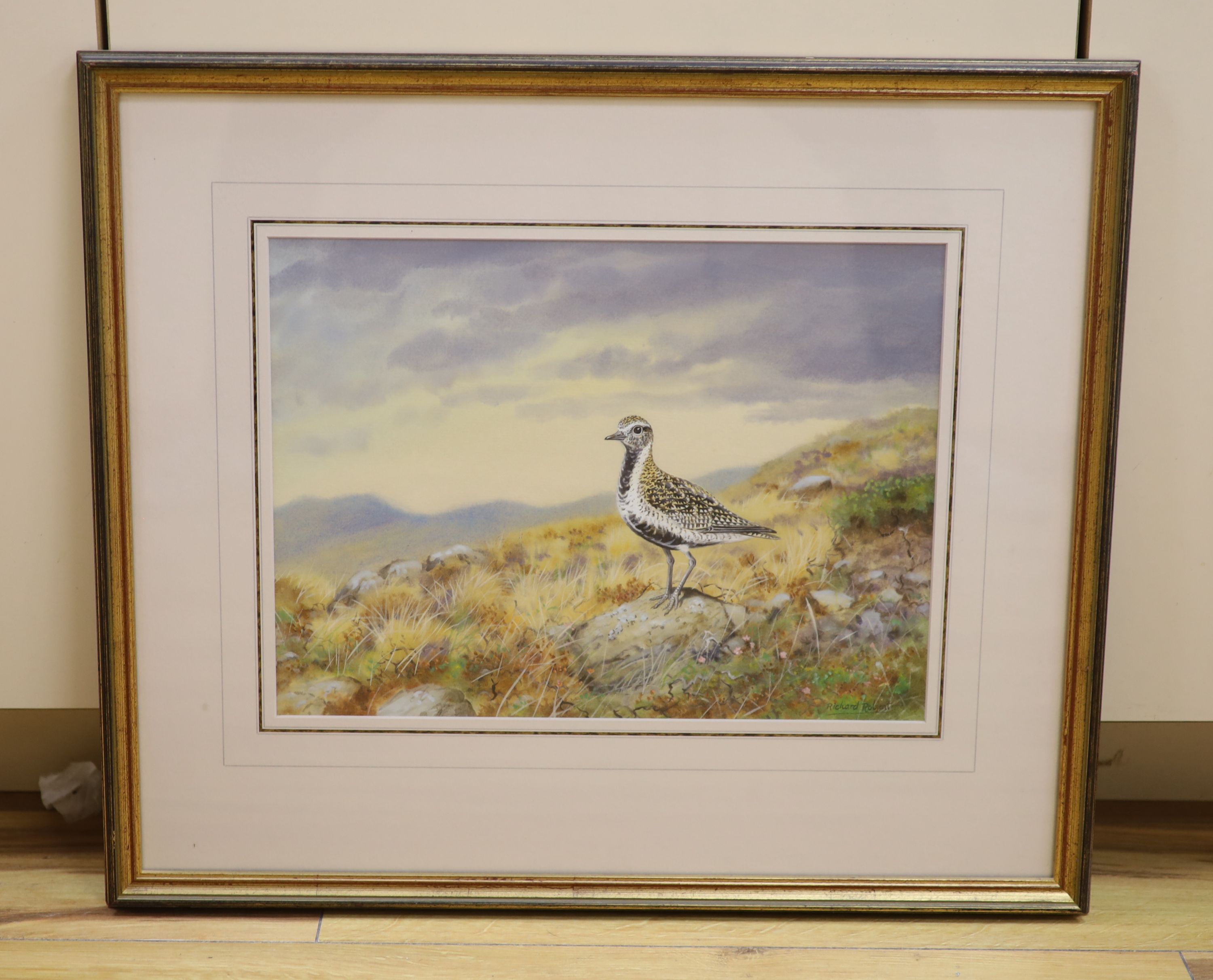 Richard Robjent (b. 1937), watercolour and gouache on paper, Moorland landscape with Golden Plover, signed, 25.5 x 35cm